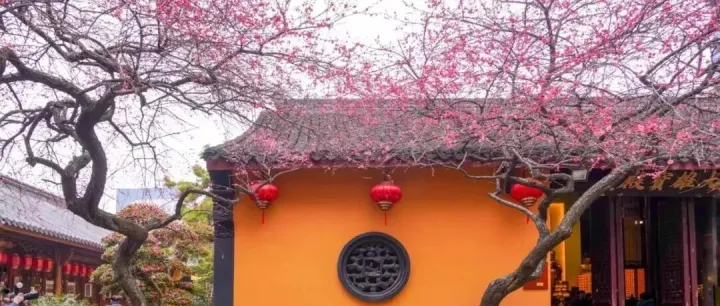 2月25日-3月1日【苏杭探梅1团】5天摄影采风活动