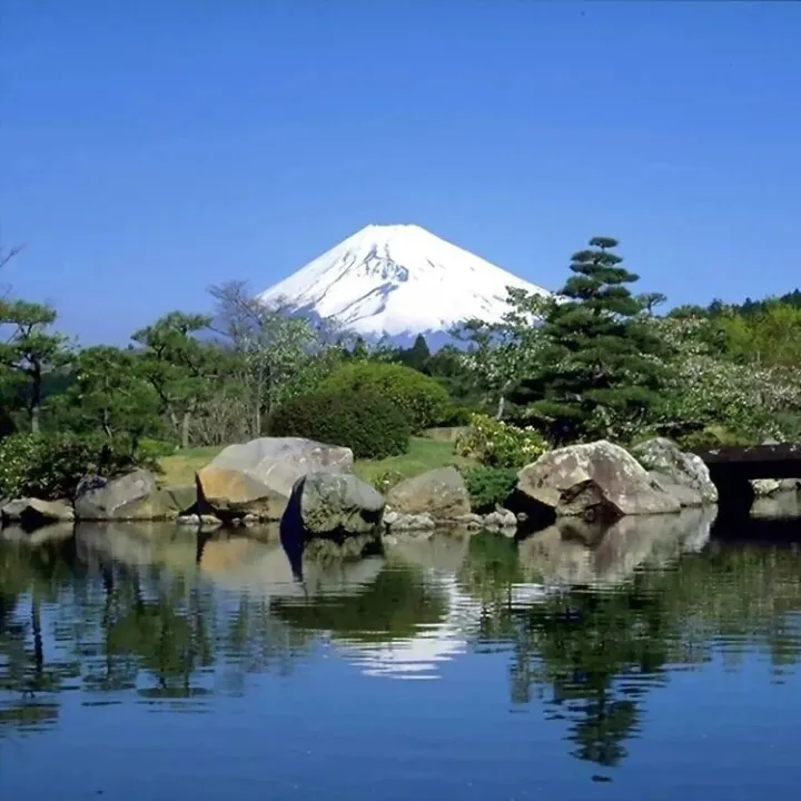 企業(yè)出海：進(jìn)出口關(guān)務(wù)風(fēng)險(xiǎn)