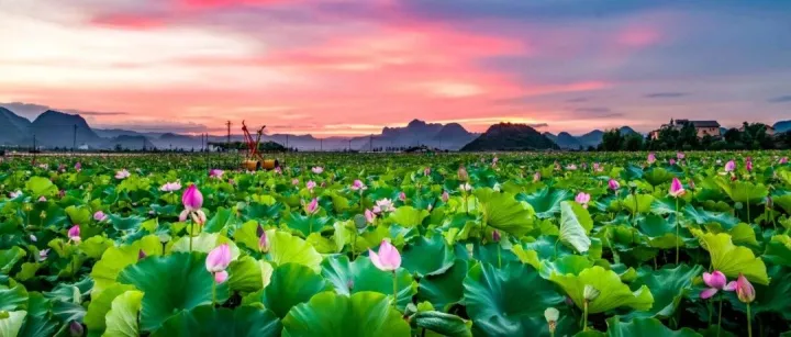 <em>文山</em>zhua球第16，好在第1