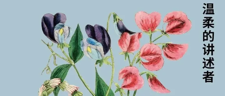 我梦想有一种“第四人称讲述者”，一个神秘而温柔的讲述者