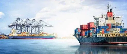 特种柜、冷冻柜、干冻柜