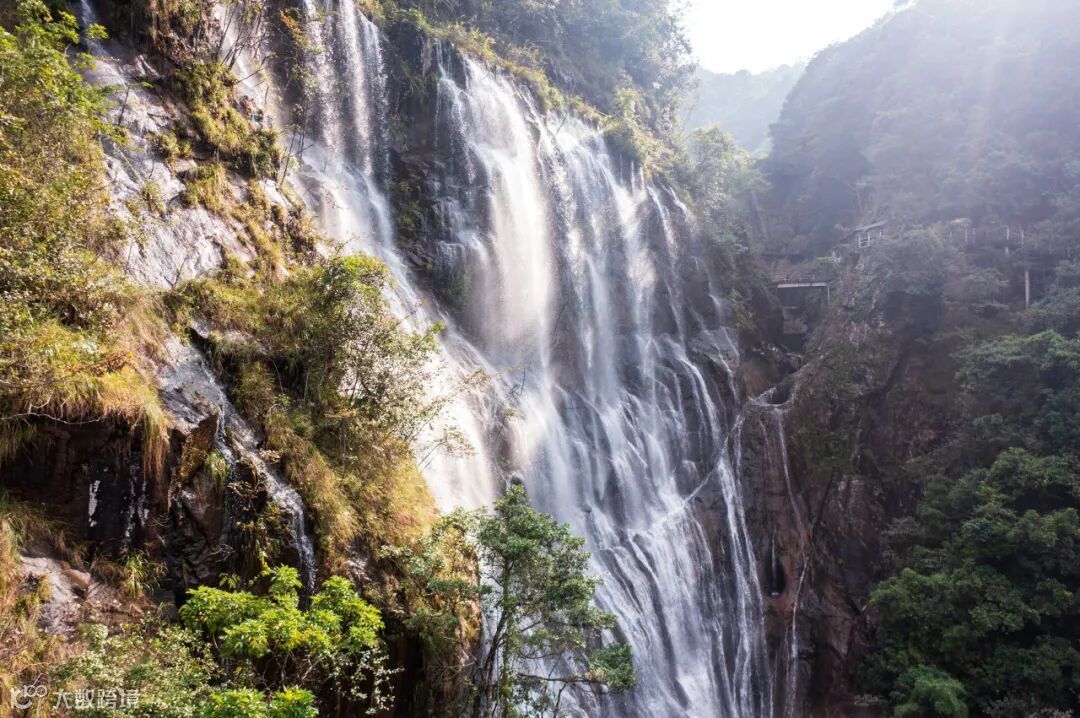 图虫创意-1934943008109494280 (1).jpeg