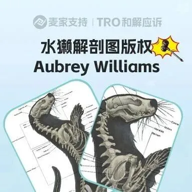 26-cv-01588,Aubrey Williams解剖圖引爆65店侵權(quán)危機(jī)，TRO凍結(jié)在即！