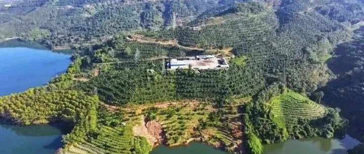 低空經(jīng)濟(jì)賦能云咖：曲靖高新航空公司考察哈里咖啡莊園，探索智慧農(nóng)業(yè)新路徑