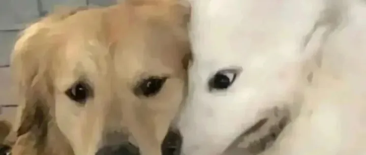 救命！这 32 个团建游戏，终于不用再尬聊了！