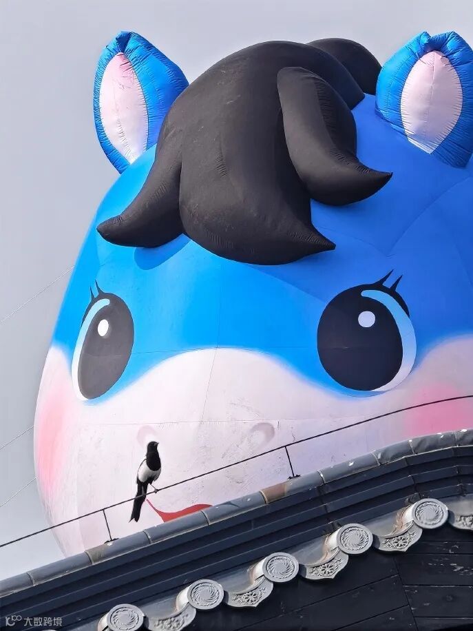 20260128 中华门萌马 真叫羊羊 (5)_副本.jpg