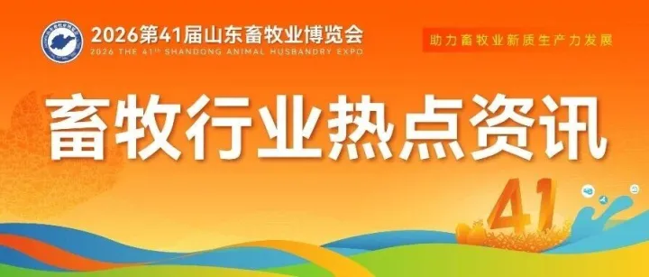 最新发布 | 牧原、新希望等四大猪企 2025 年销售数据出炉