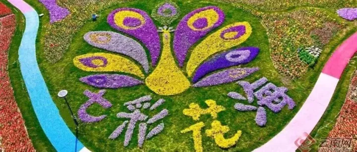 云彩風(fēng)  | 云南的春天已搶先抵達(dá)，多處打卡點(diǎn)齊上線！