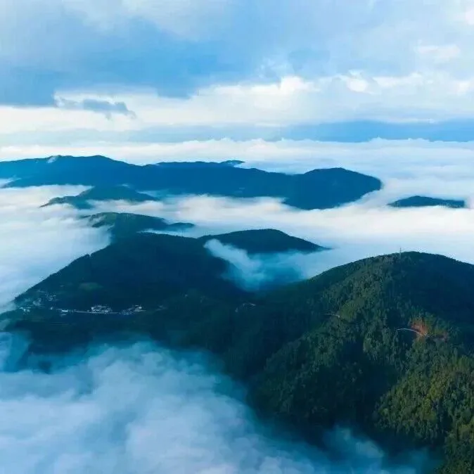 云彩風(fēng) | 冬日來雙柏！赴一場(chǎng)云海、山茶與美食的暖冬之約