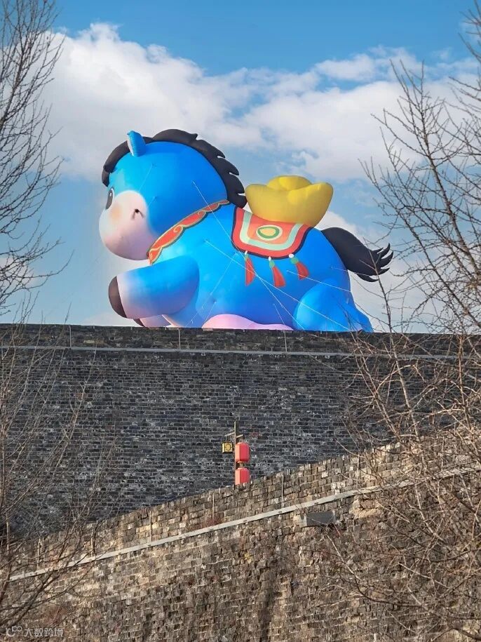 20260128 中华门萌马 真叫羊羊 (7)_副本.jpg