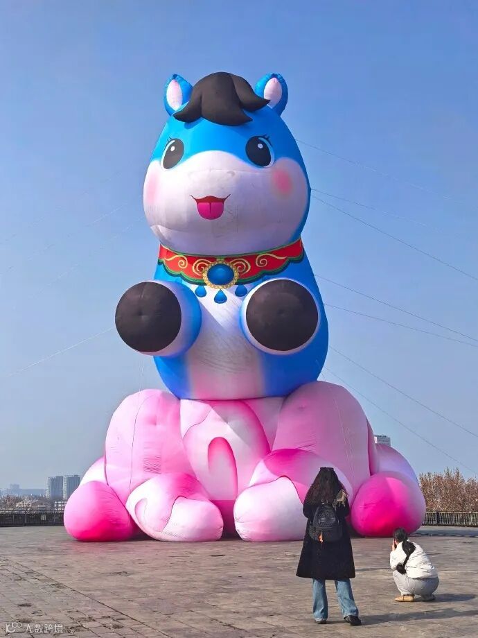 20260128 中华门萌马 真叫羊羊 (8)_副本.jpg