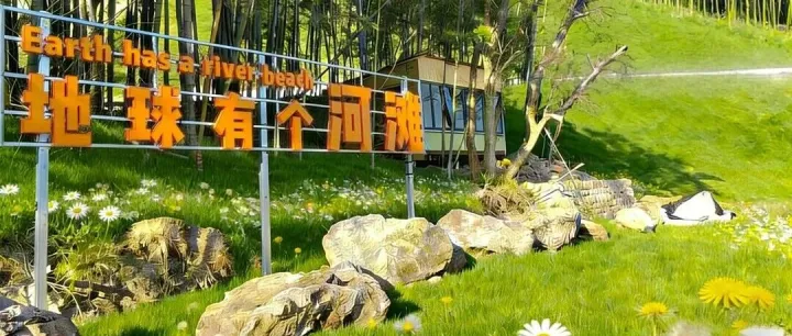 茶旅融合！不止品茶，四季皆有 N 种“野”趣玩法