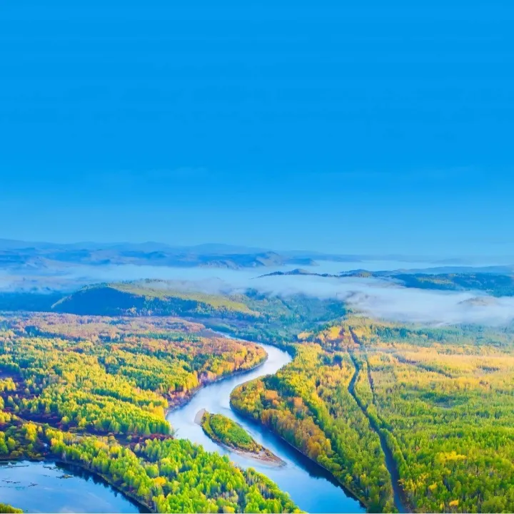 跨越山河 “點(diǎn)綠成金” | <em>大興安嶺</em>攜“森林珍品”即將亮相南昌