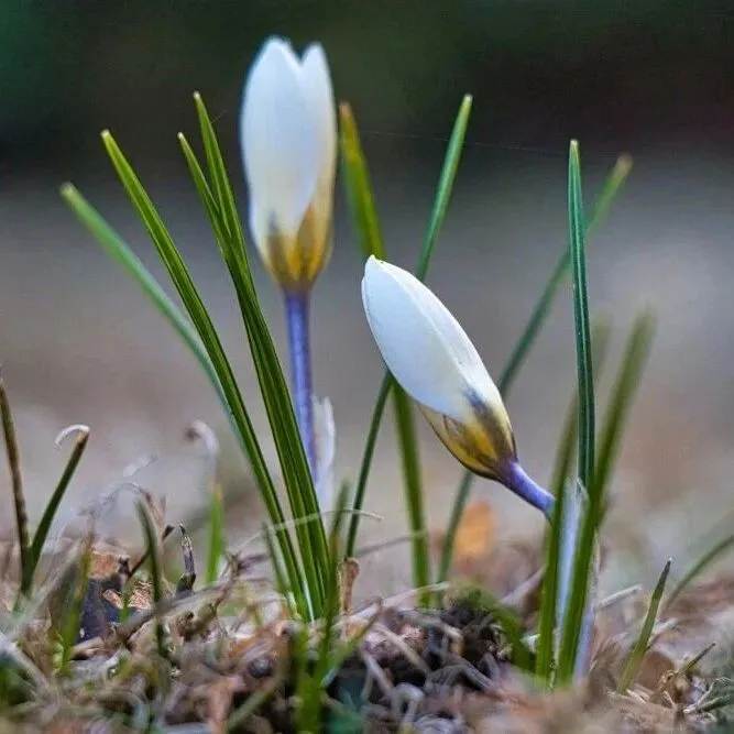 跨境屋2-3月重要活動信息