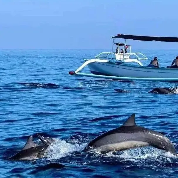 寒假春節(jié)·巴厘島旅游 | 佩妮達(dá)島出海 追羅威納海豚6天雙飛，3999元起