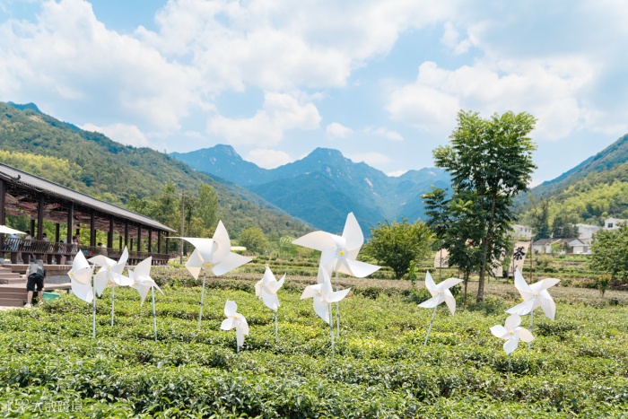 茶溪公园 (2).png