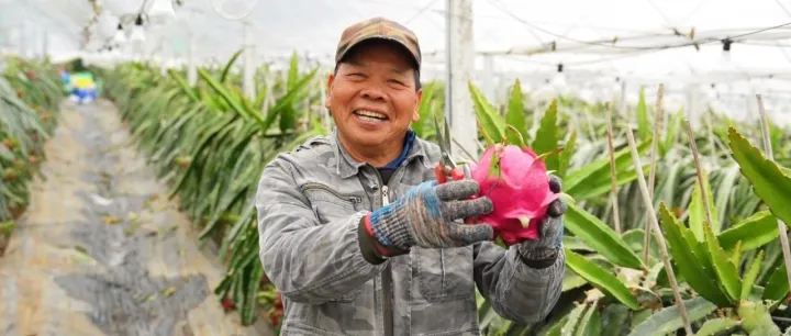 老卢“换腿”记