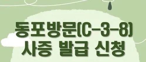 C-3-8 五年多次旅游签证