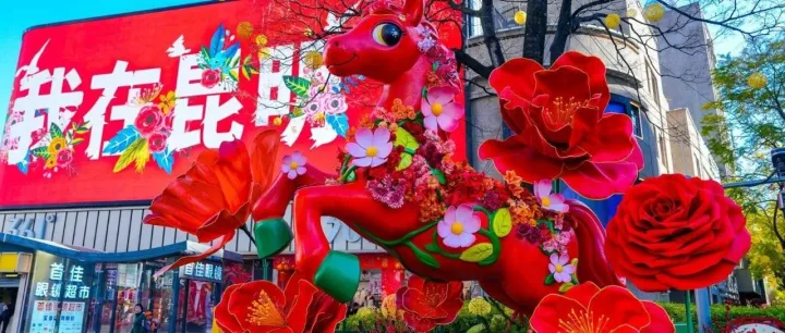 2026來昆明過大年，觀鷗賞花品滇菜！春城邀您共赴新春盛宴~