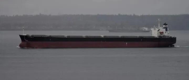【出售】2006年  日本造   82k panamax 有脱硫塔