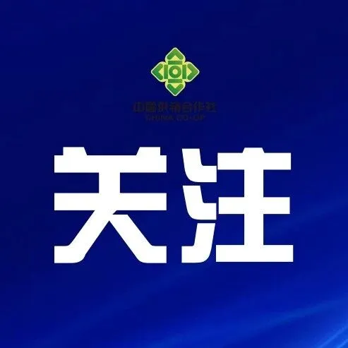 湖北省供销合作总社获得2025年全国供销合作社系统综合业绩考核一等奖