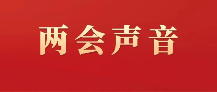凝聚“好声音” 共泡“头道茶”——安徽省两会代表委员为“十五五”茶产业开局献策