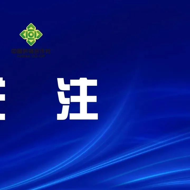 为加快建成支点贡献供销力量