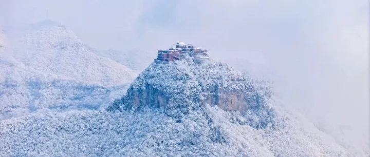 云台山！一夜之间全白了！