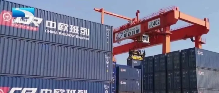 媒体聚焦丨秭归脐橙“登陆”迪拜 湖北特色农品“出海”中东