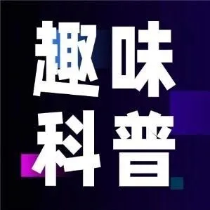 为什么不想长胖，就一定要像猪一样吃饭？！