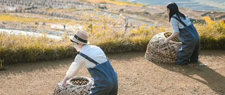 寒假新趣x【带着萌娃探云南】｜6天5晚带孩子看懂云南的另一面：从寒武纪到哈尼梯田的文明行走