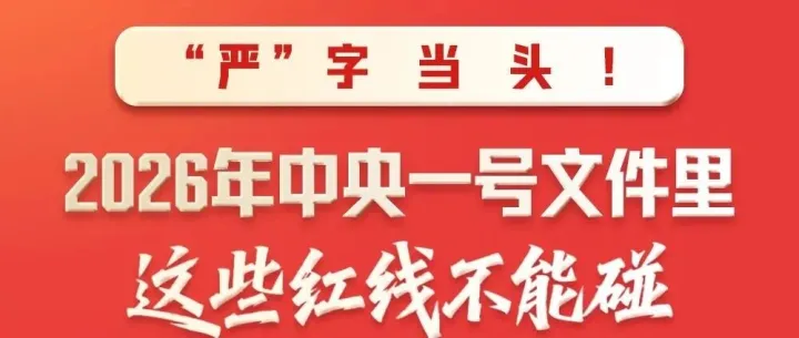 “严”字当头！2026年中央一号文件里这些红线不能碰