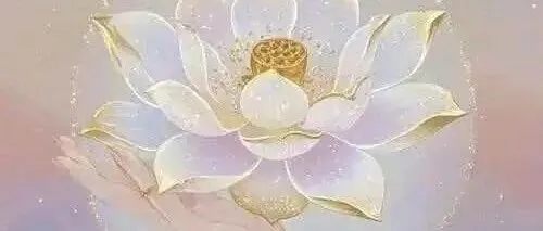 隐者行深：一个少林俗家弟子的四十年