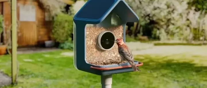 智能喂鸟器赛道暴雷，某厂商深陷迷局！