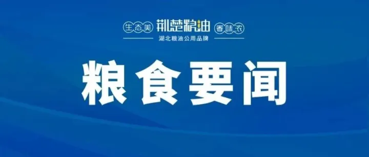 一图读懂|2026年湖北粮食工作会议