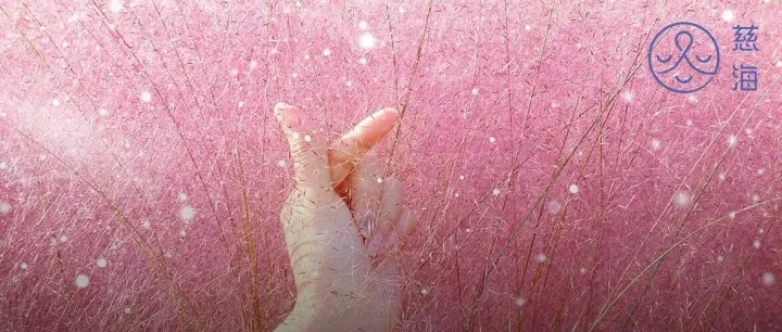 祝福 | 无条件的爱