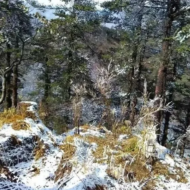 西岭雪山——大都市成都的后花园