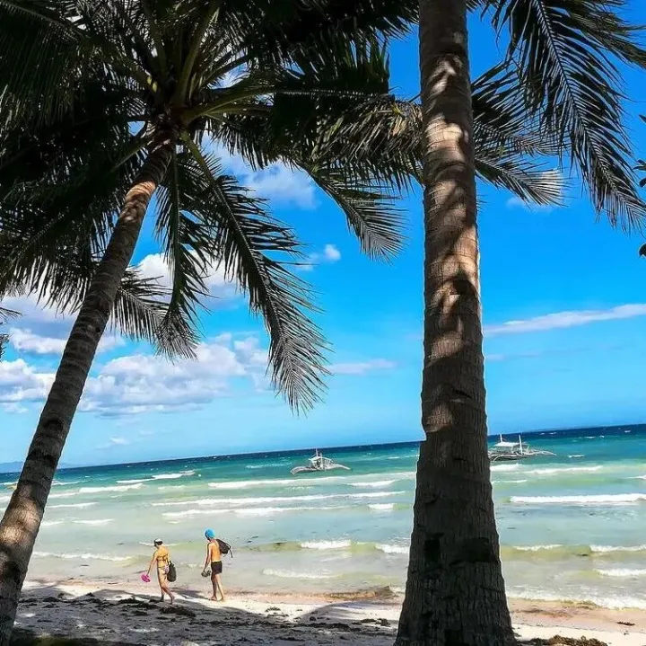 在冬天遇见薄荷岛的无尽夏日