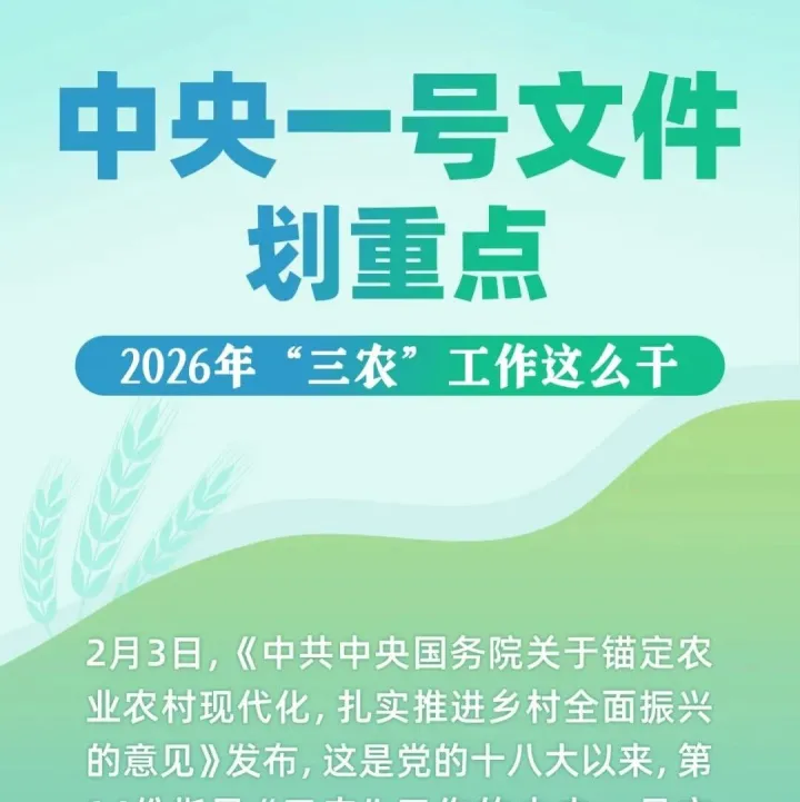 政策解讀 | 一圖讀懂2026年中央一號文件