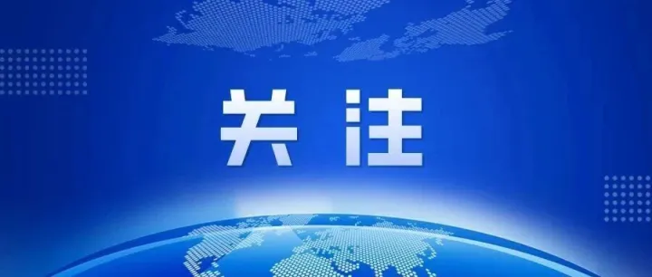 1.63亿欧元，一地计划采购206辆电动巴士！