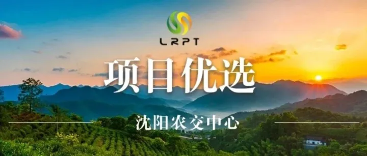 【项目优选】<em>铁岭</em>开原市八宗林木转让项目