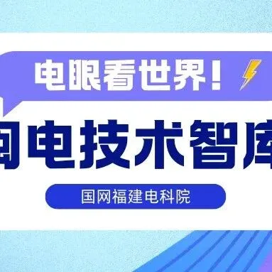 闽电技术智库——电眼看世界|2026年第3期