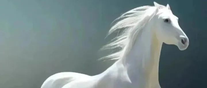 【马年】效法雌马雄马，就能大吉大利，家庭事业双旺