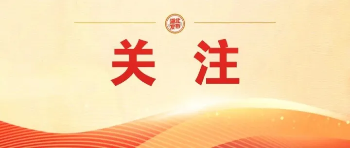 武汉一个曾经寂寂无名的村湾，凭什么一年来这么火？