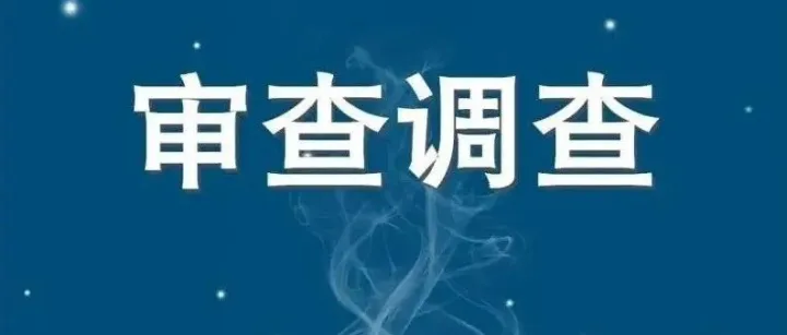 沈明玉接受審查調(diào)查