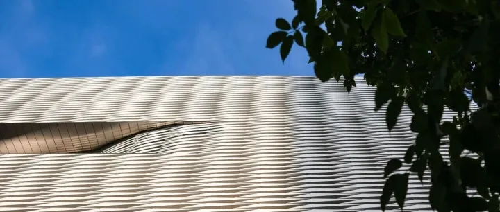 征集 | “岁月留痕·艺脉相承”艺术名家童年作品征集启事