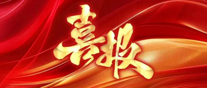 喜报 | 创新领跑 改革聚力 文化铸魂