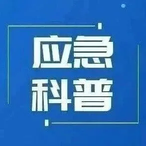 出行忘带证件怎么办？点这里→