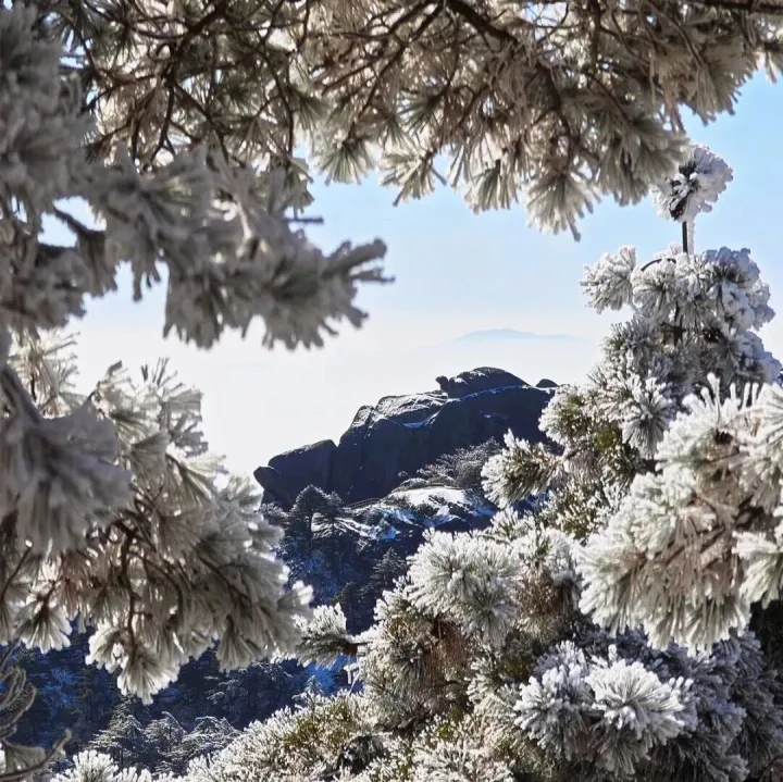 【让文化活起来】美妙的黄山雪