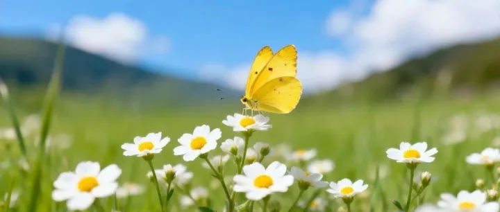 丹麦又一家明星药企崛起